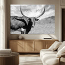 Cattle Wall Art Longhorn Cow Canvas Print