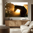 Horse at Sunset Wall Art Animal Canvas Print