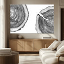 Abstract Large Tree Rings – Minimalist Black and White Wood