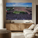 South Carolina Gamecocks Football Team Print - Columbia