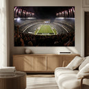 Eagles Field Stadium Wall Art - Philadelphia Eagles Football