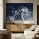 Jellyfish Wall Art Canvas Print, Modern Abstract Jellyfish