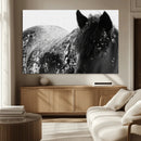 Black Horse in Snow Canvas Print | Winter Horse Wall Art |