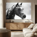 Horse Canvas Print - Winter Horse Snow Wall Art Canvas Print