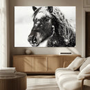 Framed Black and White Horse Wall Art | Ready to Hang and by MyGreatCanvas | Canvas Wall Art Prints | Photo Prints & Wall Decor