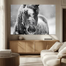 Black and White Horse Winter Wall Art | Ready to Hang and