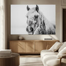 White Horse Wall Art | Ready to Hang and Framed | Winter
