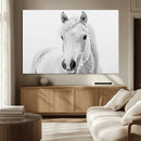 Majestic White Horse Wall Art | Ready to Hang and Framed |