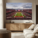 Florida Tampa Raymond James Stadium Wall Art Canvas Print -