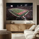 Houston Cougars Football Team Print - Houston TDECU Stadium