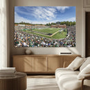 University of Charlotte 49ers Football Team Print - by MyGreatCanvas | Canvas Wall Art Prints | Photo Prints & Wall Decor