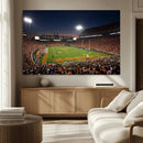 Clemson University Tigers Art Print, Football Team Print -