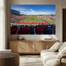 Ball State Cardinals Football Team Print - Muncie Scheumann