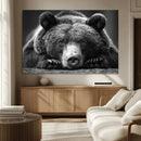 Resting Grizzly 399 Bear Canvas Print | Ready to Hang Wall