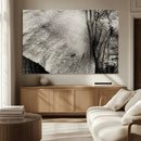 Elephant Wall Art Canvas Print