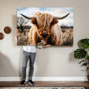 Scottish Cow Longhorn Wall Art Canvas Print