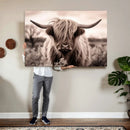 Scottish Cow Longhorn Wall Art Canvas Print