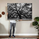 Black and White Old Angel Oak Tree Wall Art Canvas Print