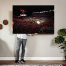 William Brice Stadium Wall Art Print – Baseball Game Room
