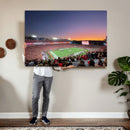 Dooley Stadium Wall Art, Sports Arena Canvas Print, Dooley