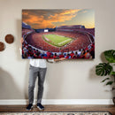 Dooley Stadium Wall Art, Sports Arena Canvas Print, Dooley