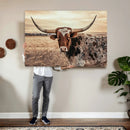 Texas Longhorn Wall Art Canvas Print – Western Cattle Ranch by MyGreatCanvas | Canvas Wall Art Prints | Photo Prints & Wall Decor