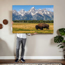 Bison in Mountain Landscape Wall Art Canvas Print – Western by MyGreatCanvas | Canvas Wall Art Prints | Photo Prints & Wall Decor