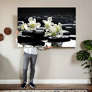 Plumeria Frangipani Black Stone Canvas | White Flower Spa by MyGreatCanvas | Canvas Wall Art Prints | Photo Prints & Wall Decor