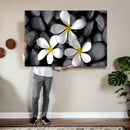 Plumeria Frangipani Black Stone Canvas | White Flower Spa by MyGreatCanvas | Canvas Wall Art Prints | Photo Prints & Wall Decor