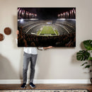 Eagles Field Stadium Wall Art - Philadelphia Eagles Football