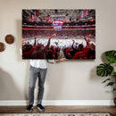 Carolina Hurricanes Ice Hockey Stadium Wall Art, Carolina