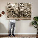 Sepia Framed Angel Oak Tree Wall Art - 3-Panel Canvas