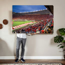 Wisconsin Badgers Football Team Print - Madison Camp Randall