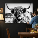 Black and White Scottish Cow Canvas Wall Art Highland Cattle