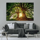 Majestic Ancient Tree Wall Art, NatureCanvas Print, Woodland by MyGreatCanvas | Canvas Wall Art Prints | Photo Prints & Wall Decor