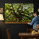 Angel Oak Tree Wall Art Canvas Print | Forest Tree Nature
