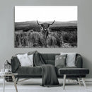 Black and White Highland Cow Canvas Wall Art, Longhorn by MyGreatCanvas | Canvas Wall Art Prints | Photo Prints & Wall Decor