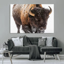 Bison Wall Art Canvas Print For Farmhouse, Wild Animal Wall by MyGreatCanvas | Canvas Wall Art Prints | Photo Prints & Wall Decor