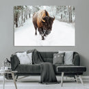 Bison Wall Art Canvas Print For Farmhouse, Animal Canvas
