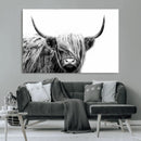 Black White Scottish Highland Cow Cattle Art Print Farmhouse