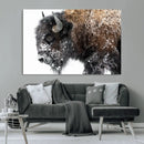 American Bison Wall Art Print – Majestic Buffalo Canvas