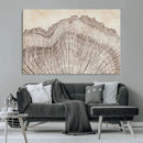 Tree Ring Wall Art Triptych, Rustic Wood Ring Canvas Print,