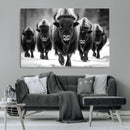American Bison Art | Buffalo Herd Wall Art Canvas Print, BW