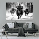 Buffalo Wall Art Canvas Print, Bison Family Wall Art Canvas by MyGreatCanvas | Canvas Wall Art Prints | Photo Prints & Wall Decor