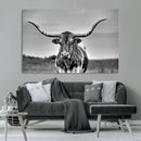 Texas Longhorn Cow Wall Art, Texas Longhorn Canvas, Cattle