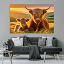 Scottish Cow and Baby Cow Canvas Wall Art Animal Print