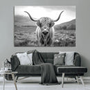 Black White Scottish Highland Cow Canvas Farm Wall Art