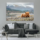 Highland Cow Horn Farm Wall Art Canvas Print by MyGreatCanvas | Canvas Wall Art Prints | Photo Prints & Wall Decor