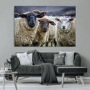 Charming Sheep Portrait Wall Art – Trio of Woolly Companions by MyGreatCanvas | Canvas Wall Art Prints | Photo Prints & Wall Decor