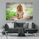 Leopard on the Prowl - Stunning Large Framed Leopard Wall